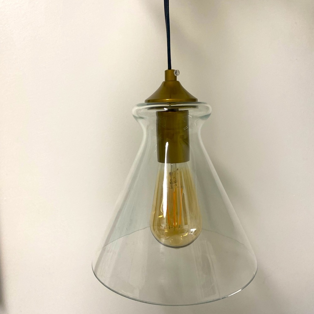 Hanging Plug-in Light Fixture w/ Bulb
